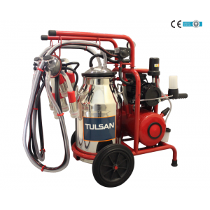 Klasik Tip Çift Sağım(İnek)